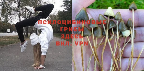 ешки Арсеньев