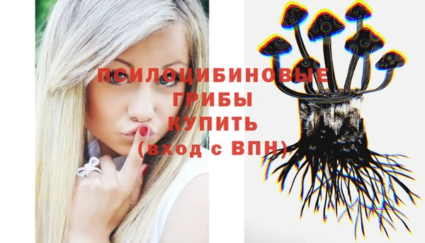 а пвп мука Аркадак