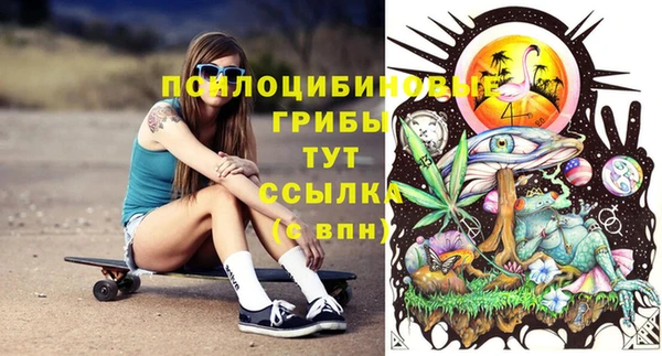 а пвп мука Аркадак